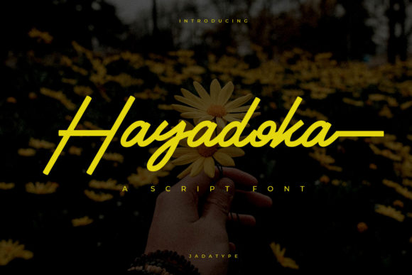 Hayadoka Font: Bold Script for Modern Branding