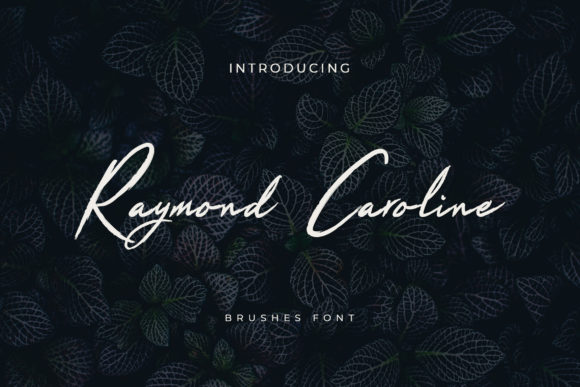 Raymond Caroline: A Modern Script Typeface Review