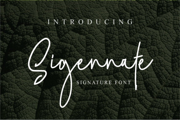 Sigennate Font Review for Makers