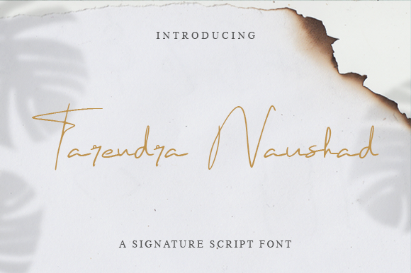 Tarendra Naushad: Elevate Your Brand with Script Fonts