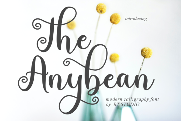 The Anybean Font for Editorial Design
